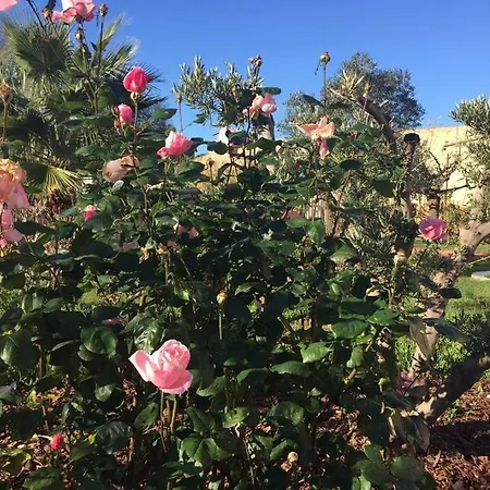 Lejlighed Jm Sérignan