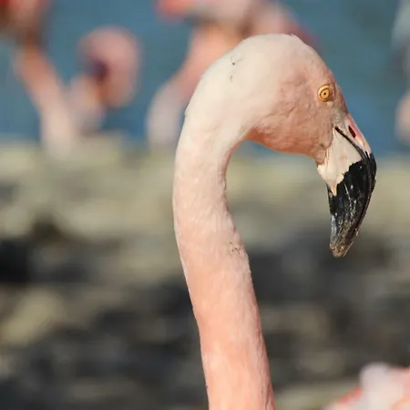 Jm Lejlighed Sérignan